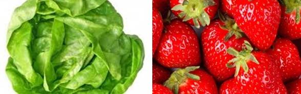 Lettuce-strawberries20140421160300_l