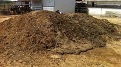 cow-manure20140422174948_l