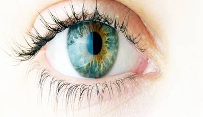 retina-eyes20140506124430_l