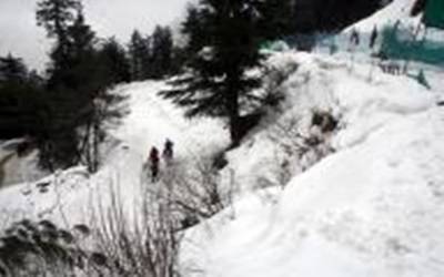 snow-shimla20150123185859_l