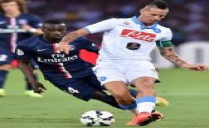 Hamsik20160616100508_l