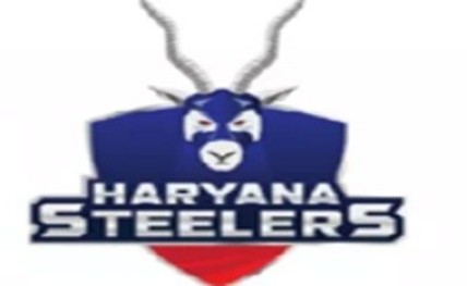 Haryana-Steelers20170812195908_l